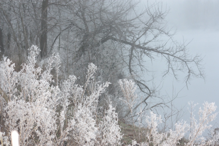 il fiume , la nebbia, l''inverno....